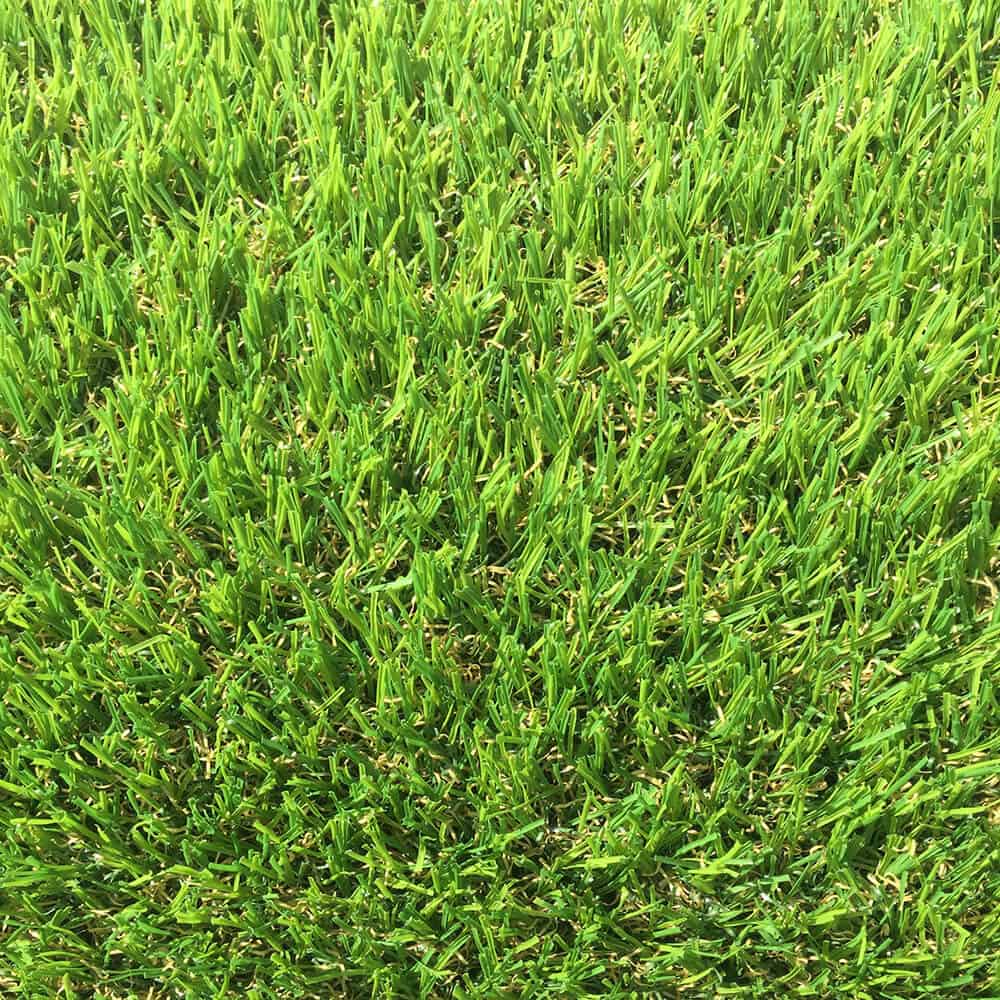 catifa PASTOS